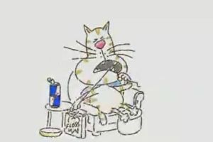 red bull - Flossing Cat